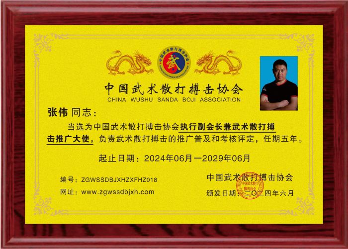 張偉：執行副會長兼武術散打搏擊推廣大使